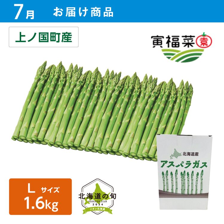【7月お届け商品】ハウス栽培 グリーンアスパラガス　Lサイズ 1600g