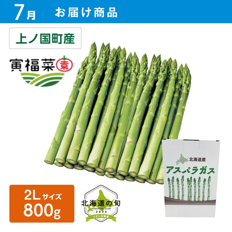 【7月お届け商品】ハウス栽培 グリーンアスパラガス　2Lサイズ 800g