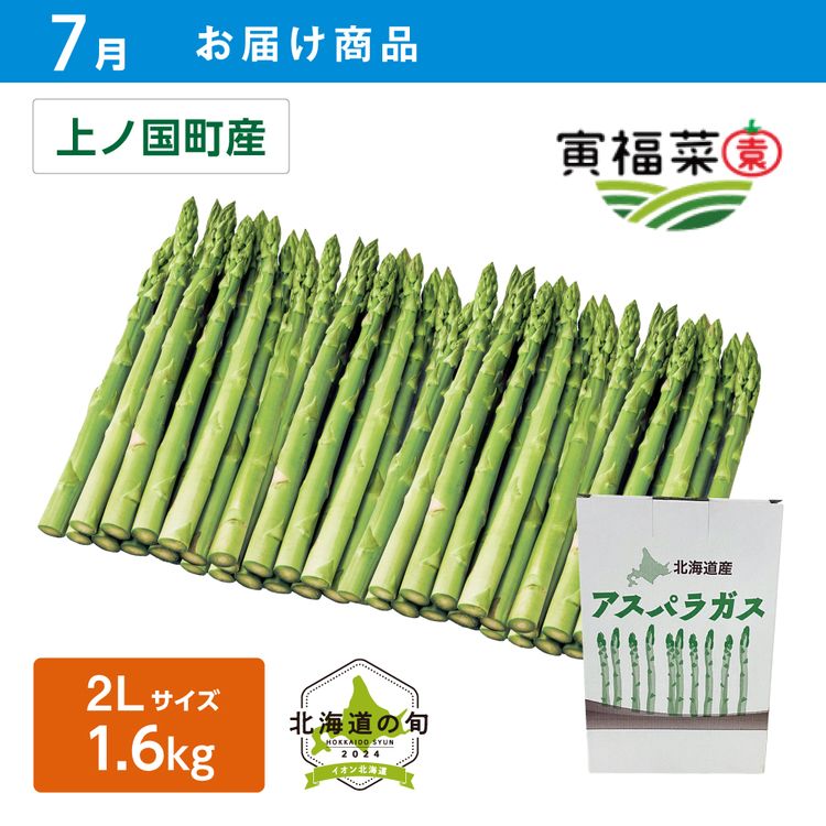 【7月お届け商品】ハウス栽培 グリーンアスパラガス　2Lサイズ 1600g