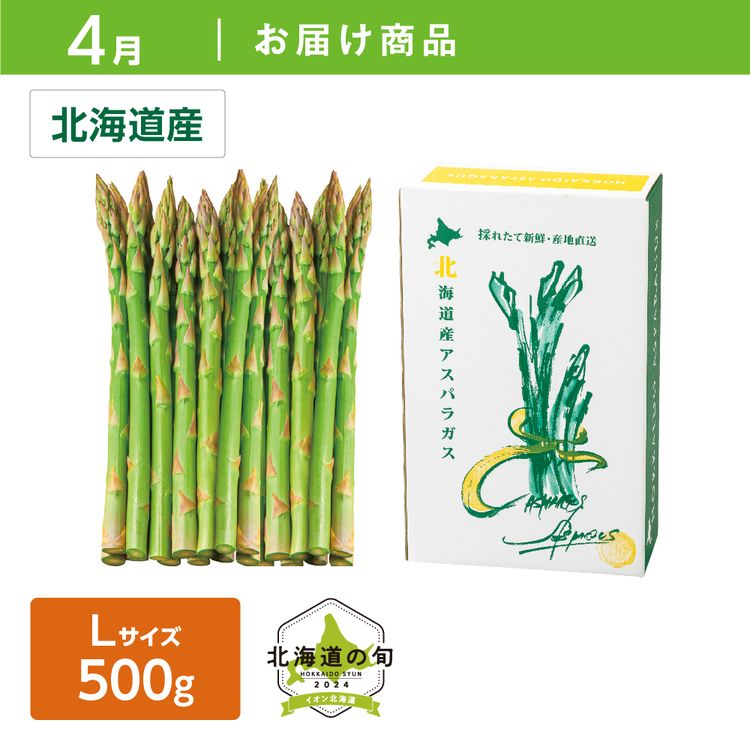 【4月お届け商品】ハウス栽培 グリーンアスパラガス　Lサイズ500g