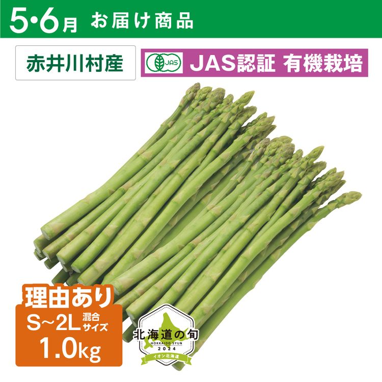 【5・6月お届け商品】有機栽培 理由ありグリーンアスパラガス　S~2Lサイズ混500g×2